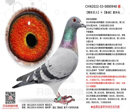5母亲-0880948