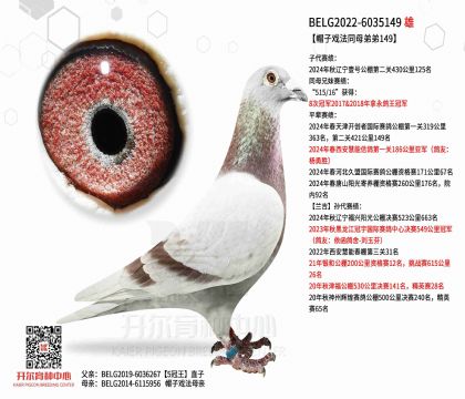 3父亲BELG2022-6035149