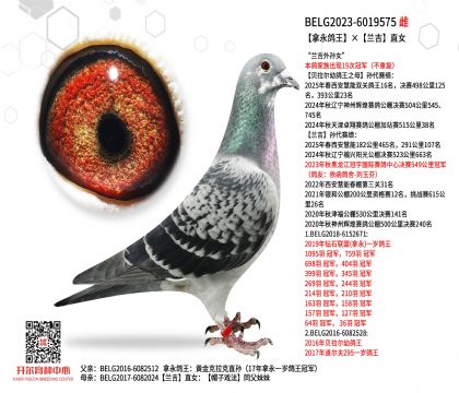 4母亲BELG2023-6019575