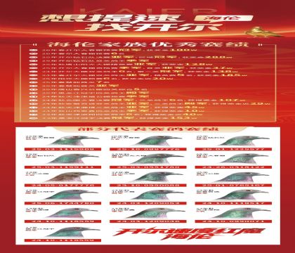 6赛绩4
