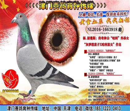 母亲