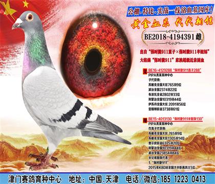 母亲