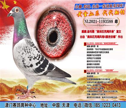 母亲