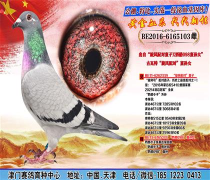 母亲