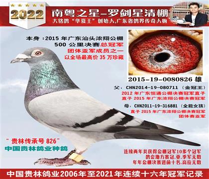 父:35万浓翔公棚冠军