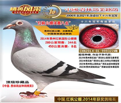 母:红枫公棚8名
