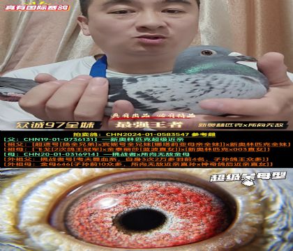 《众诚加赛97名全妹》新奥林匹克x所向无敌