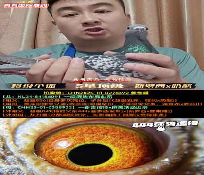《超级个体》新罗西x奶酪