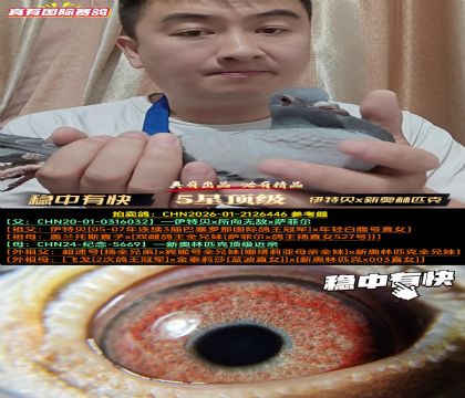 《稳中有快》伊特贝x新奥林匹克近亲