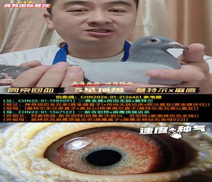 《同宗回血》基特尔x麻鹰多重近亲