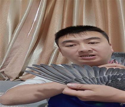 翅膀