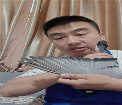 翅膀