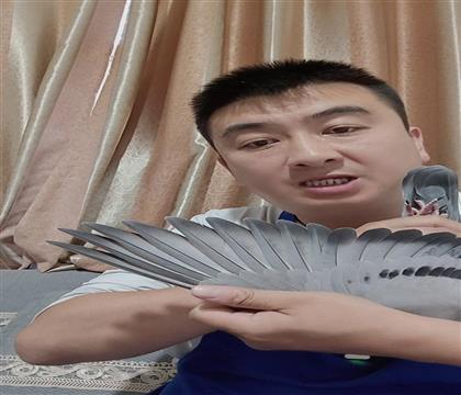 翅膀