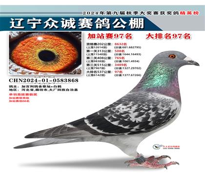全兄妹