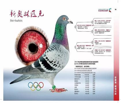 新奥林匹克