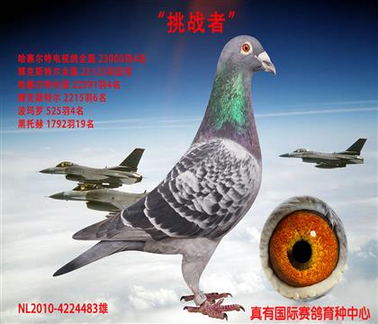 挑战者号
