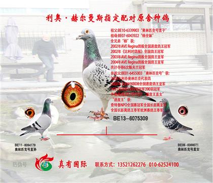 爷爷