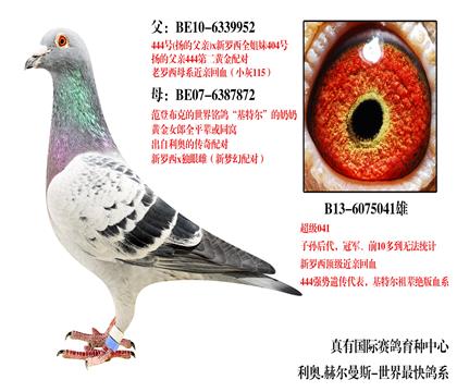 超级041