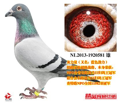 灰力量