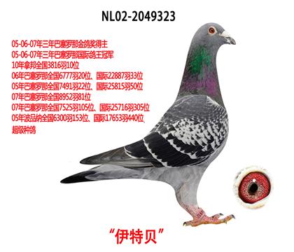伊特贝
