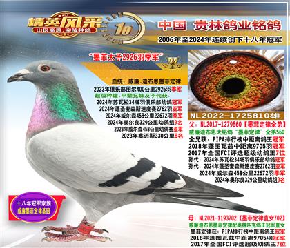父:墨菲定律孙.2926羽季军