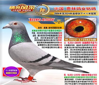 母:墨菲定律孙女