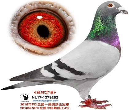 祖父:墨菲定律欣赏