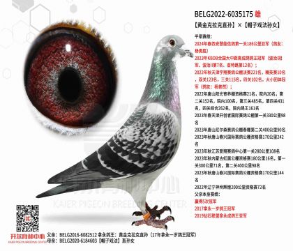 4父亲-6035175