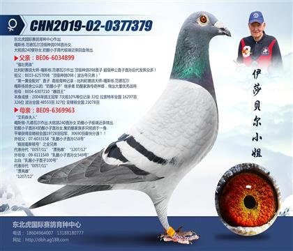 母亲