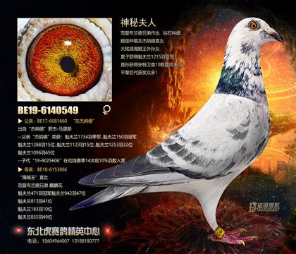 母亲
