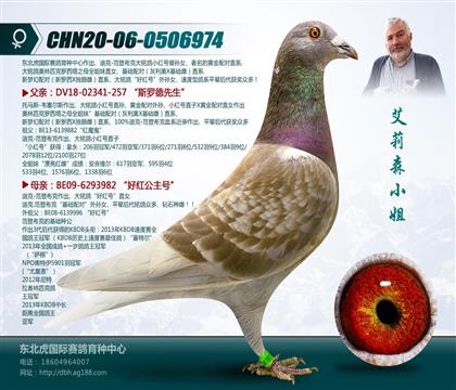 母亲