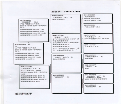翻译件