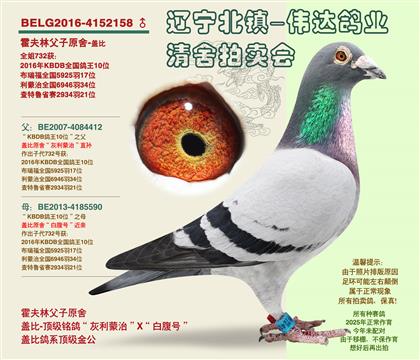 父