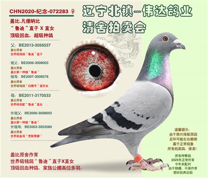 母