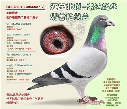 父