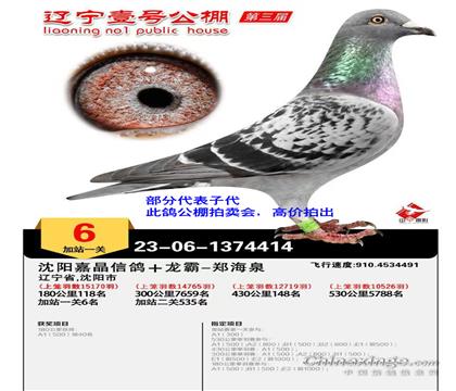 子代