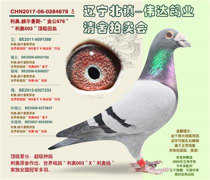 父