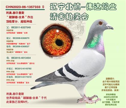 母