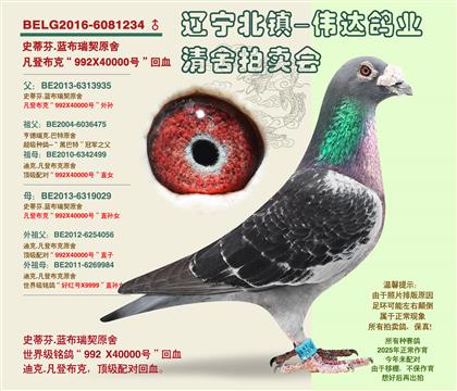 父