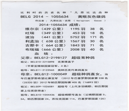 翻译件