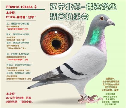 母