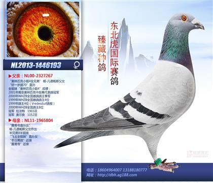 母亲
