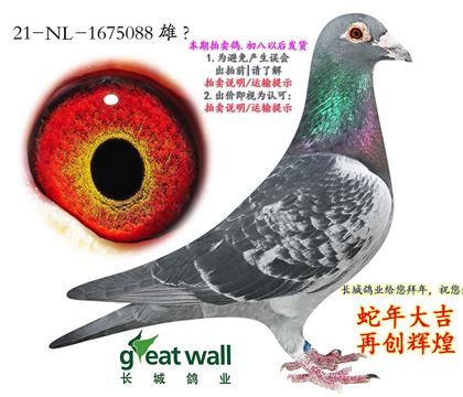 父亲