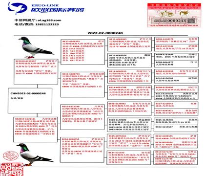 母亲血统书