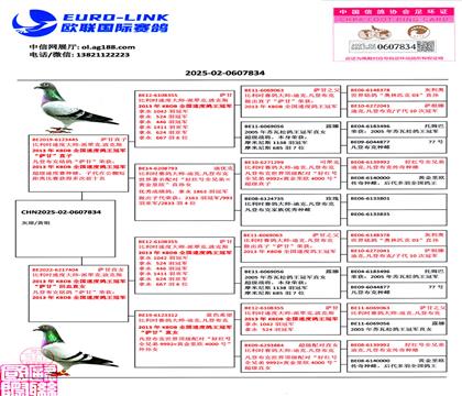 赠送鸽血统书