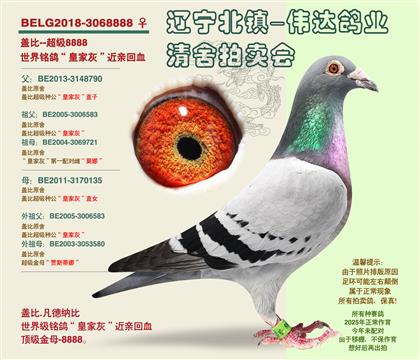 母