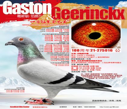 400冠军全平辈