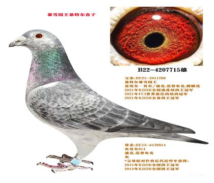 父亲