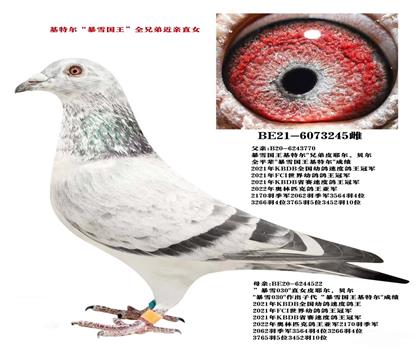 母亲