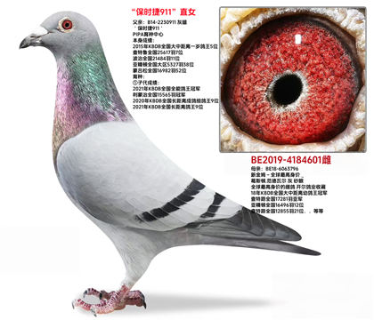 母亲